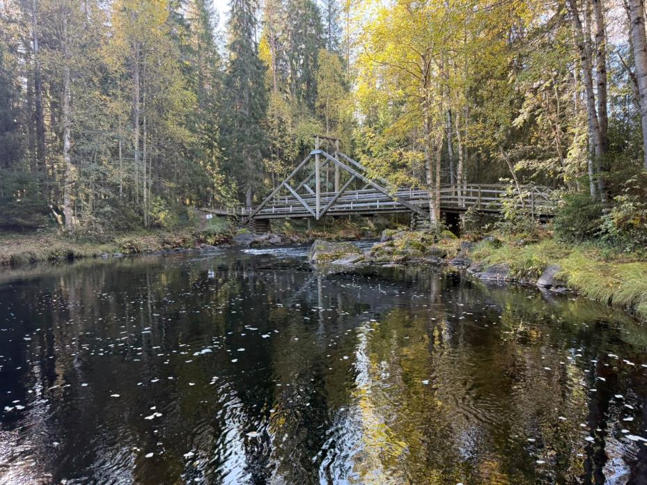 Forest river with a suspension footbridge at Vekarus