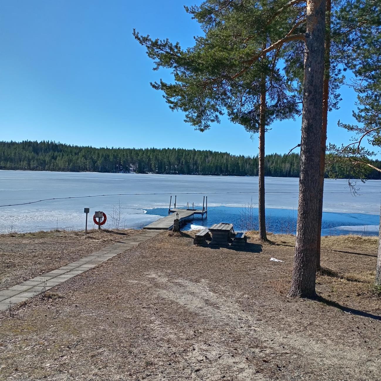 Lakeshore with a pier and pine trees at Koli Freetime