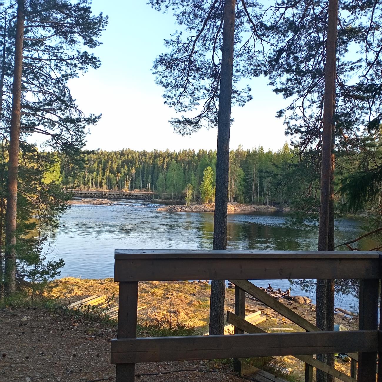 River view through pine trees from a wooden railing at Ruunaa